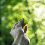 Duurzame Cadeaus - Fantastic Gifts Shop