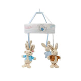 Pieter Konijn - Muziek Mobiel | Fantastic Gifts Shop