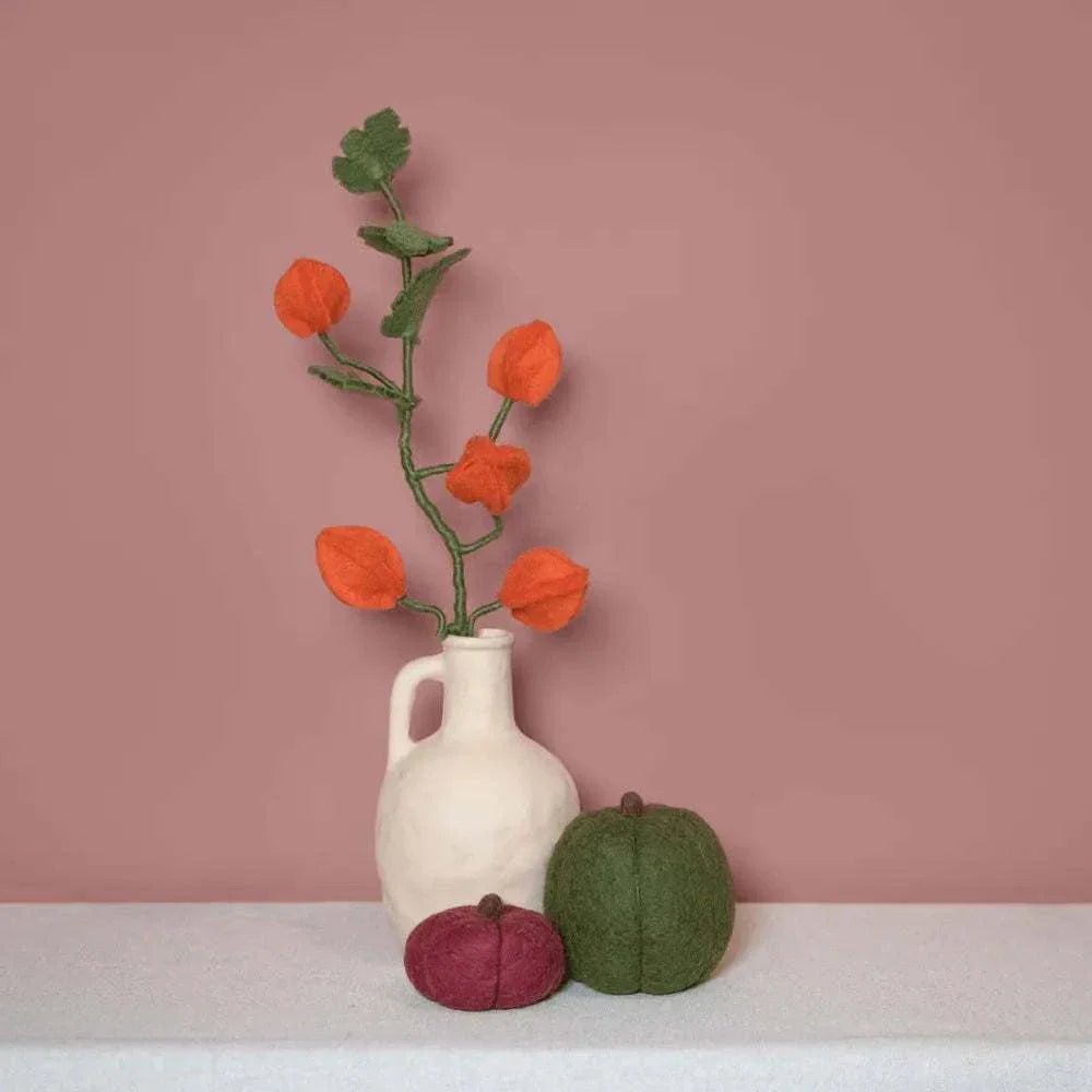 Tak Lampionplant | Fantastic Gifts Shop