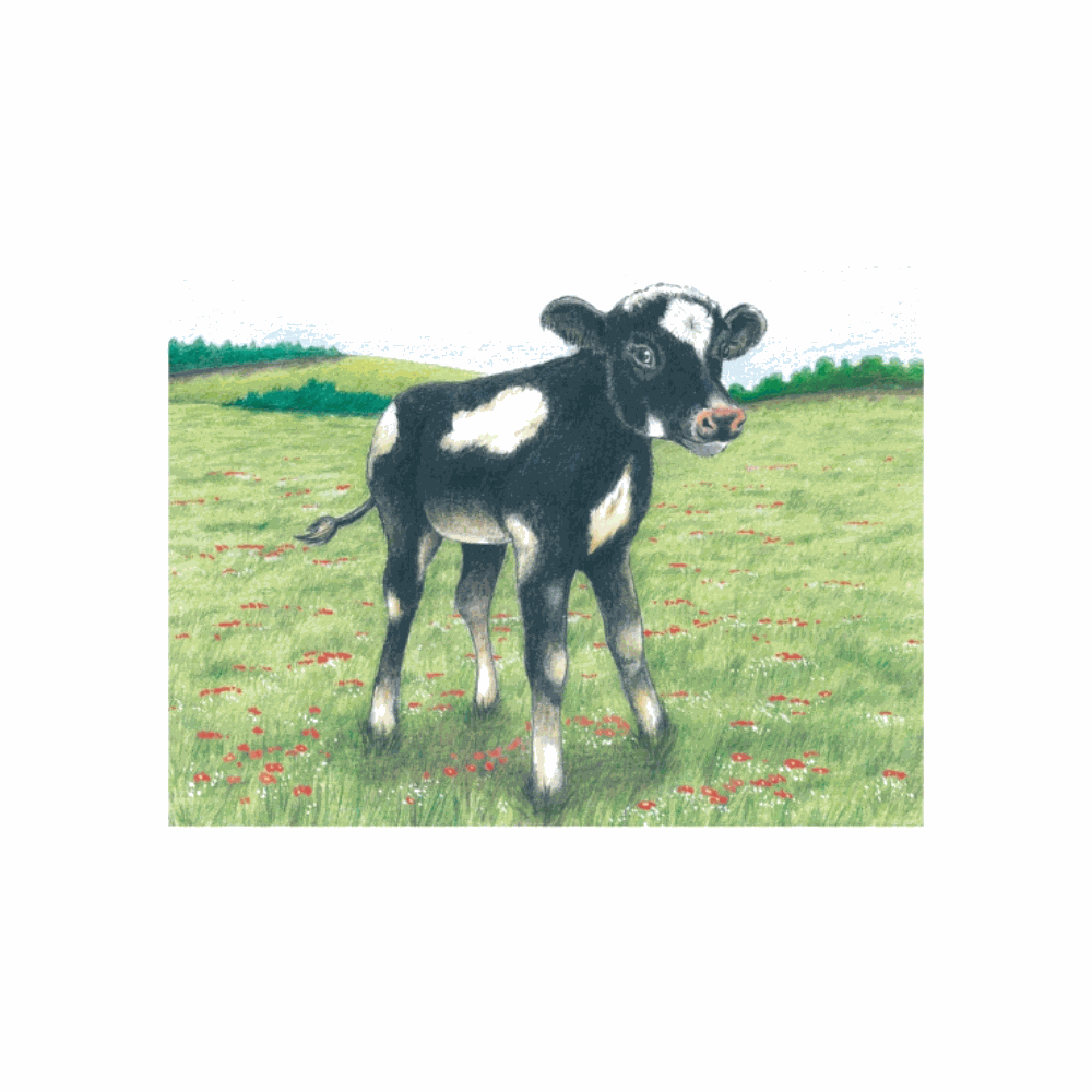 Blokpuzzel - Boerderijdieren | Fantastic Gifts Shop