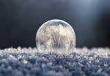 Seizoenstafel winter maken? ❄️  <br>6 ideeën voor een winterse sfeer! - Fantastic Gifts Shop