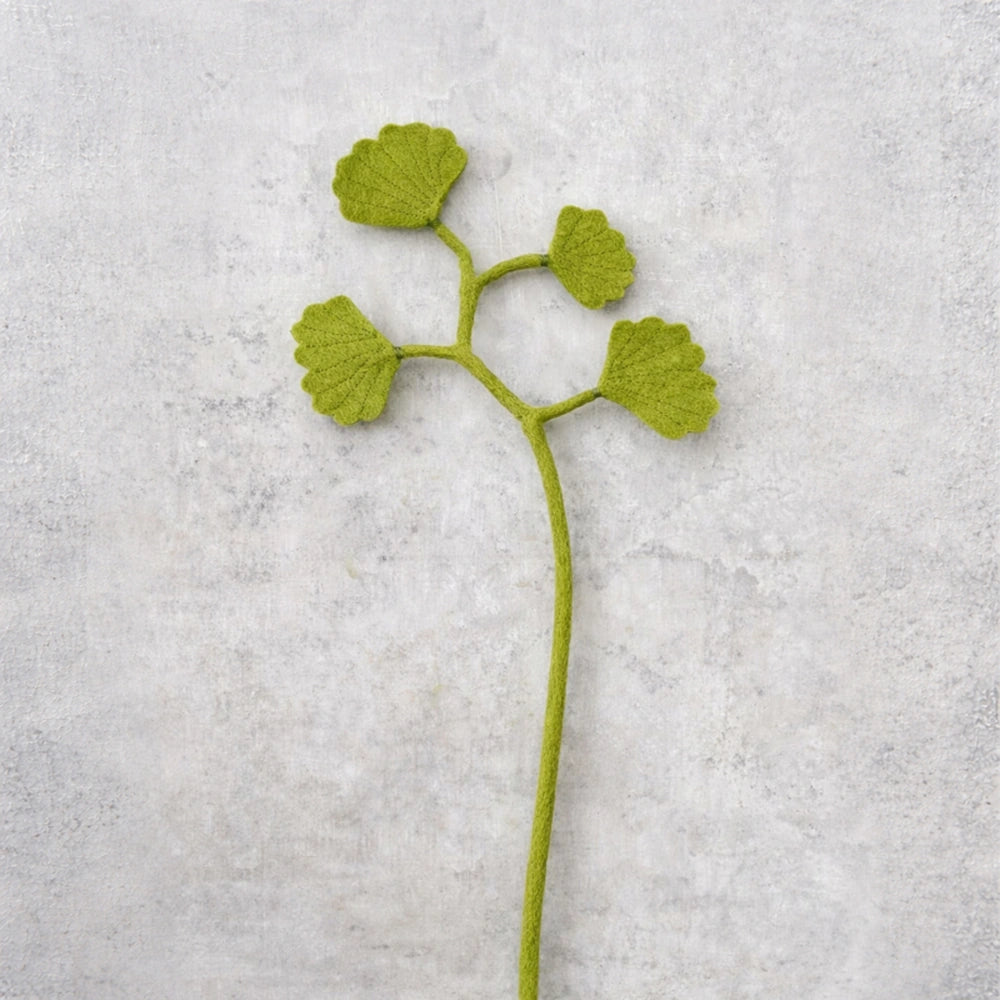 Tak - Ginko 4 | Fantastic Gifts Shop