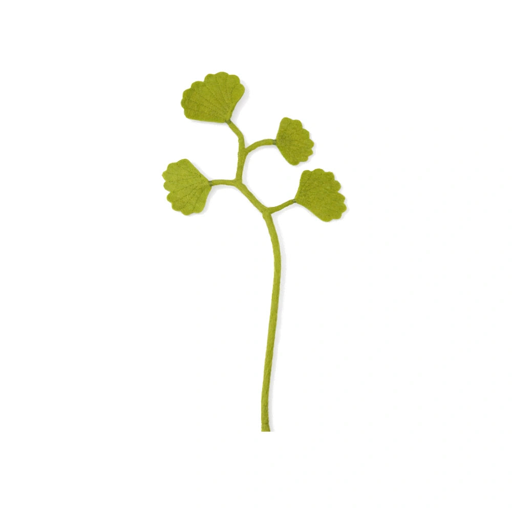 Tak - Ginko | Fantastic Gifts Shop