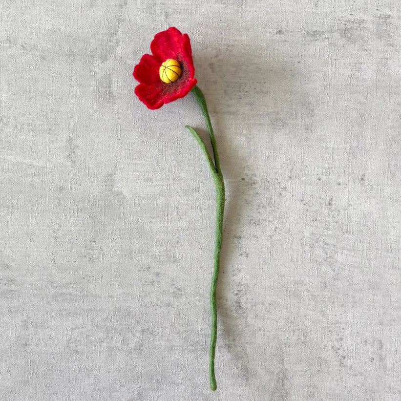 Vilten Bloem Rode Klaproos | Fantastic Gifts