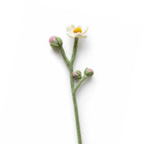 Vilten Bloem Witte Anemoon | Fantastic Gifts