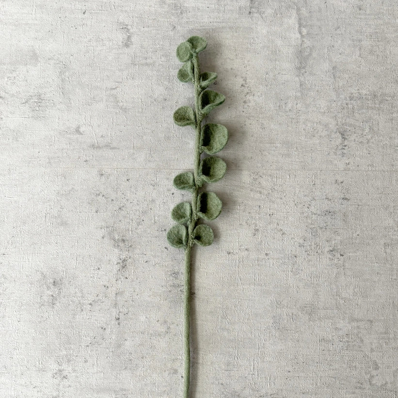 Vilten Tak Eucalyptus | Fantastic Gifts