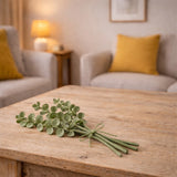 Vilten Tak Eucalyptus | Fantastic Gifts