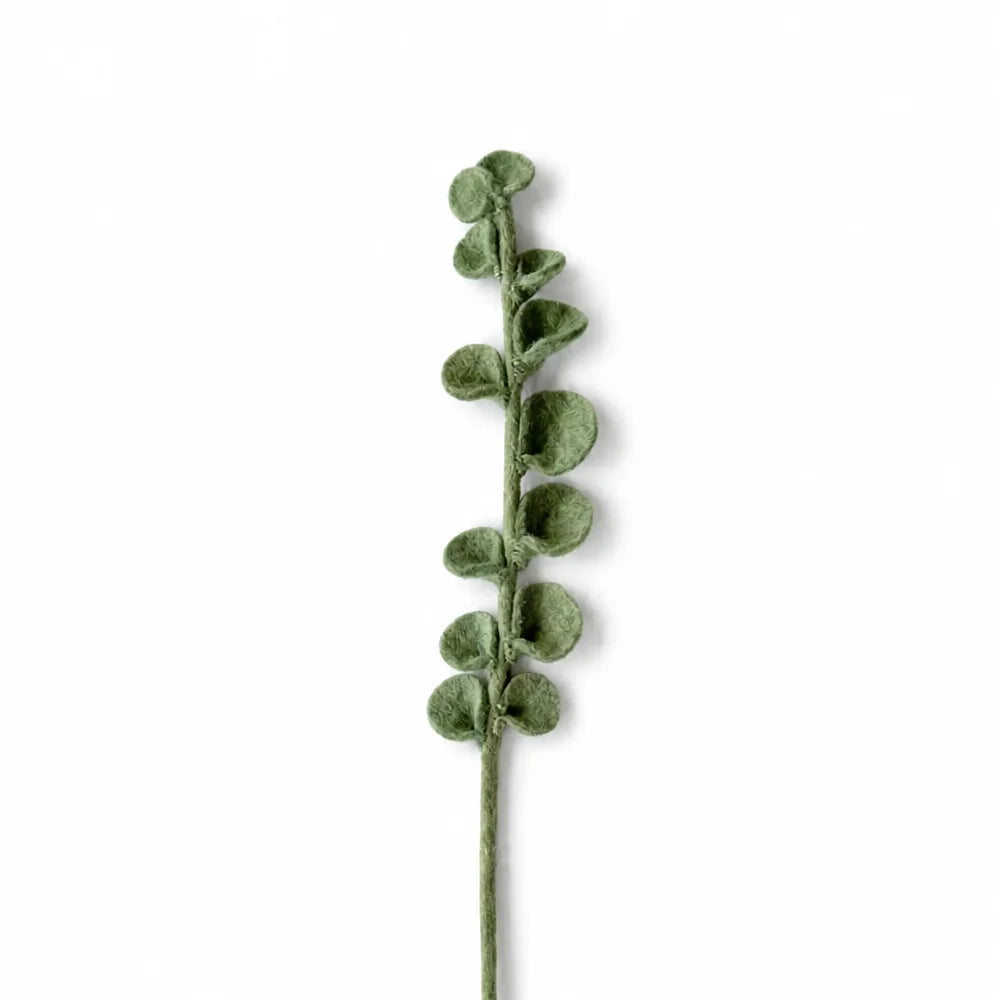Vilten Tak Eucalyptus | Fantastic Gifts