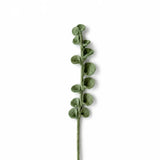 Vilten Tak Eucalyptus | Fantastic Gifts