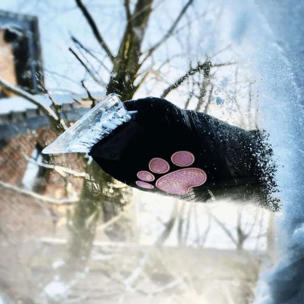 Ed the Cat - Ijskrabber | Fantastic Gifts Shop