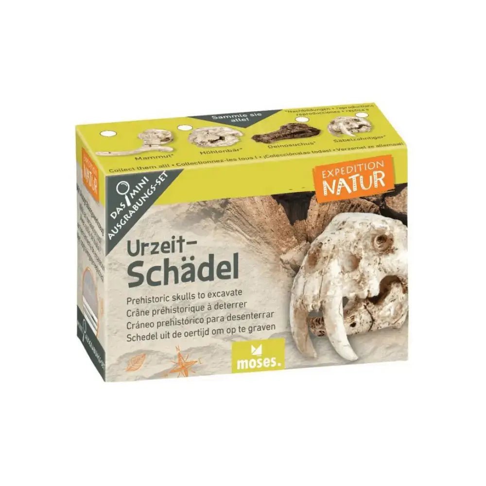 Expeditie Natuur - Uithakset Klein Schedel| Fantastic Gifts Shop