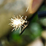 Expeditie Natuur - Vuurstarter | Fantastic Gifts Shop