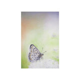 Kaart - Bruine Vuurvlinder | Fantastic Gifts