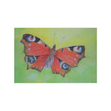 Kaart - Dagpauwoog | Fantastic Gifts