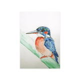 Kaart - Ijsvogel | Fantastic Gifts