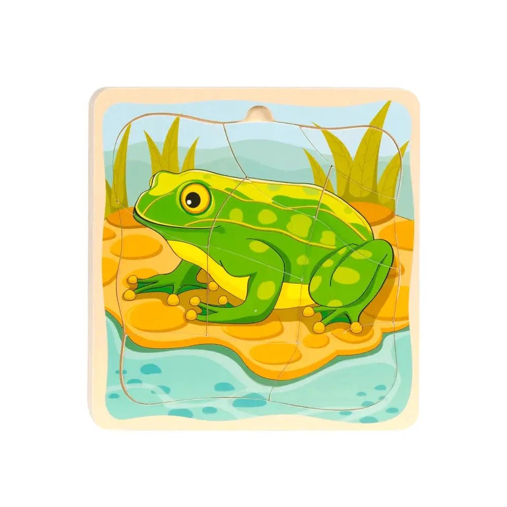 Lagenpuzzel Cyclus - Kikker | Fantastic Gifts Shop