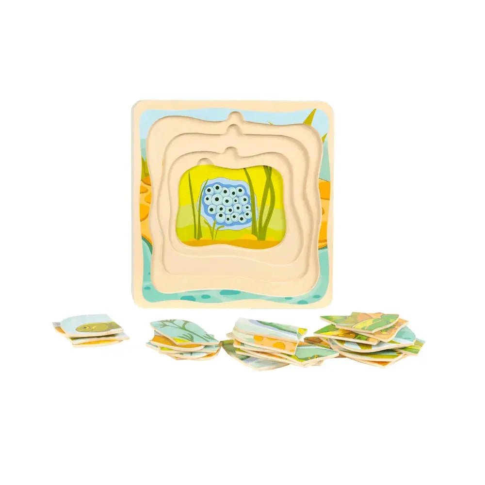 Lagenpuzzel Cyclus - Kikker | Fantastic Gifts Shop