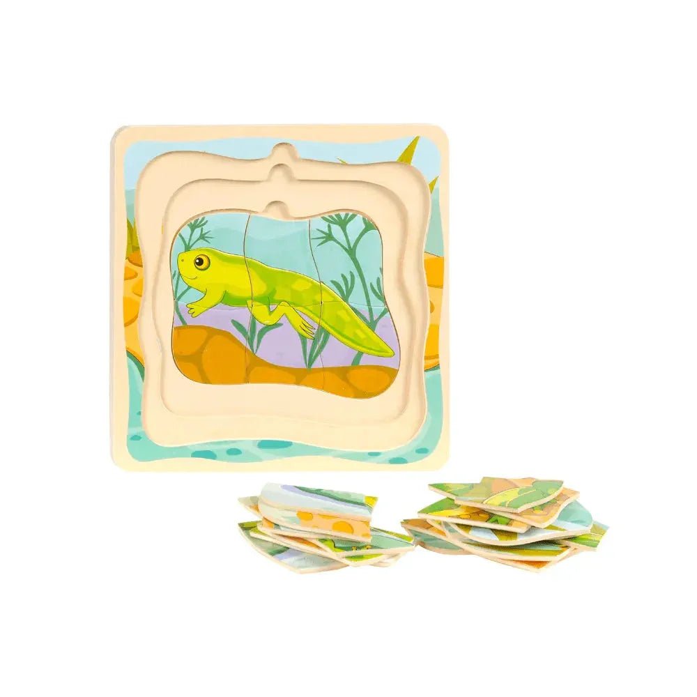 Lagenpuzzel Cyclus - Kikker | Fantastic Gifts Shop