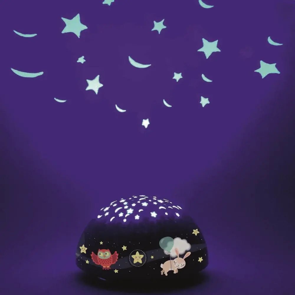 Nachtlampje Sterrenhemel | Fantastic Gifts Shop