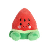 Palm Pals - Watermeloen | Fantastic Gifts Shop