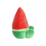 Palm Pals - Watermeloen | Fantastic Gifts Shop