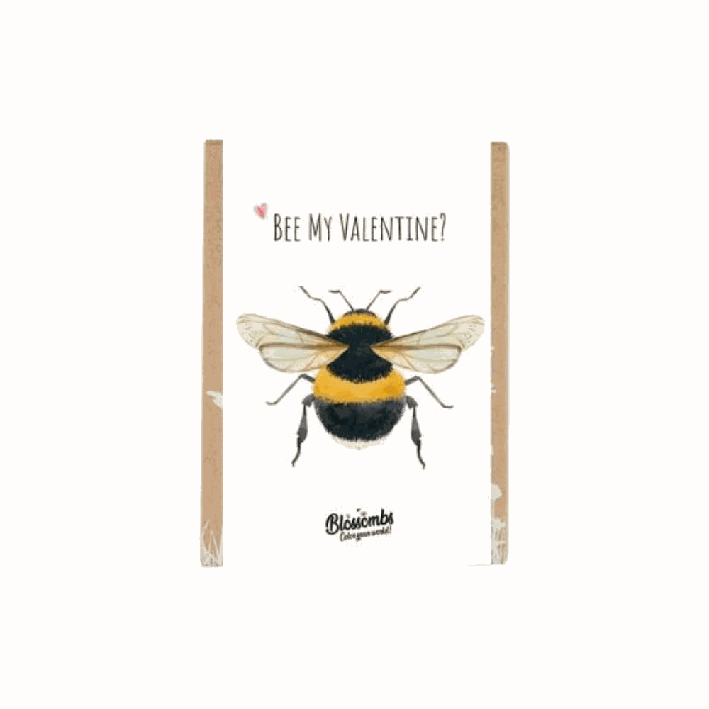 Blossombs - Mini Giftbox "Bee my Valentine" | Fantastic Gifts Shop