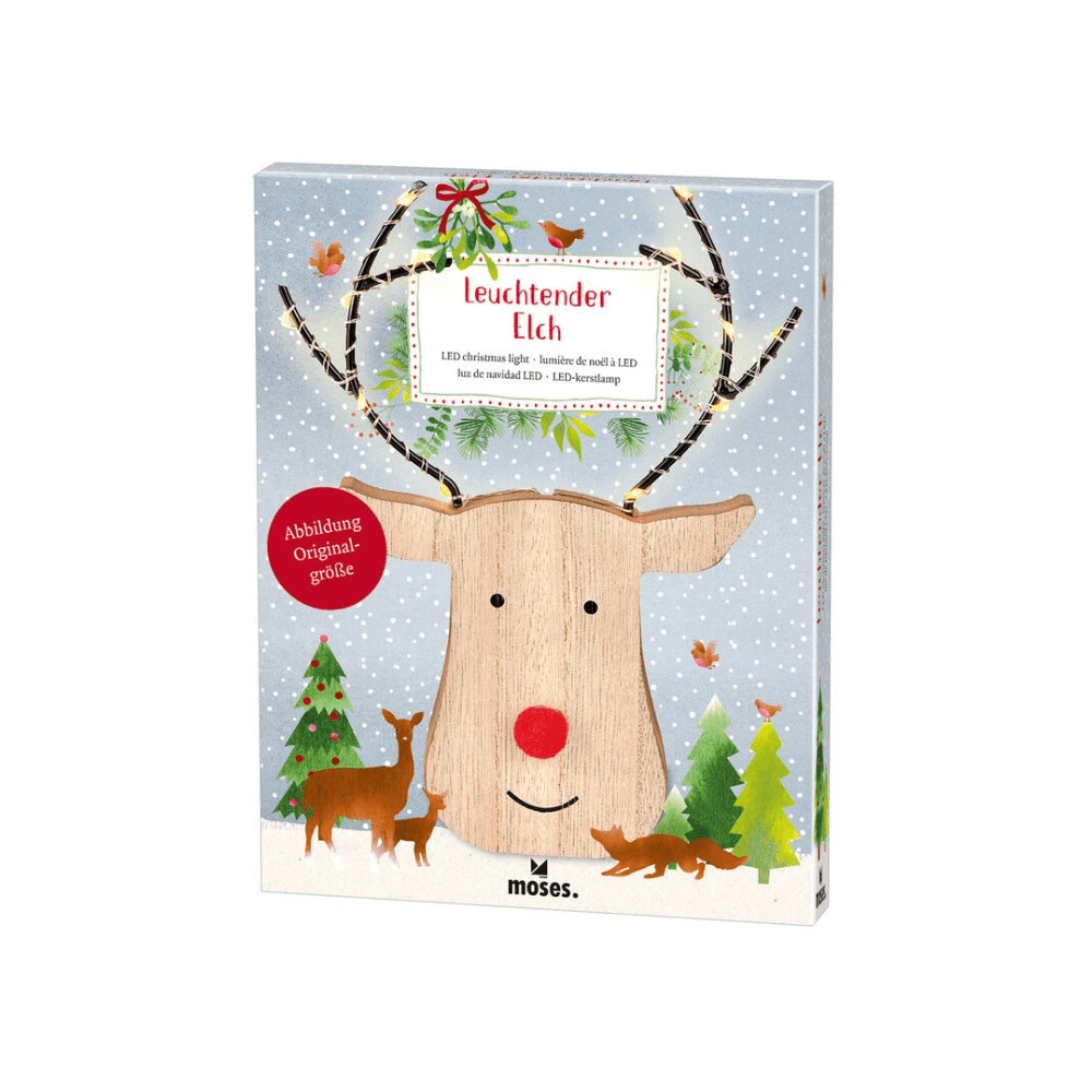 Kerst Rendier met Verlichting | Fantastic Gifts Shop