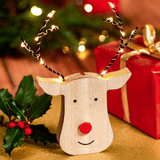 Kerst Rendier met Verlichting | Fantastic Gifts Shop